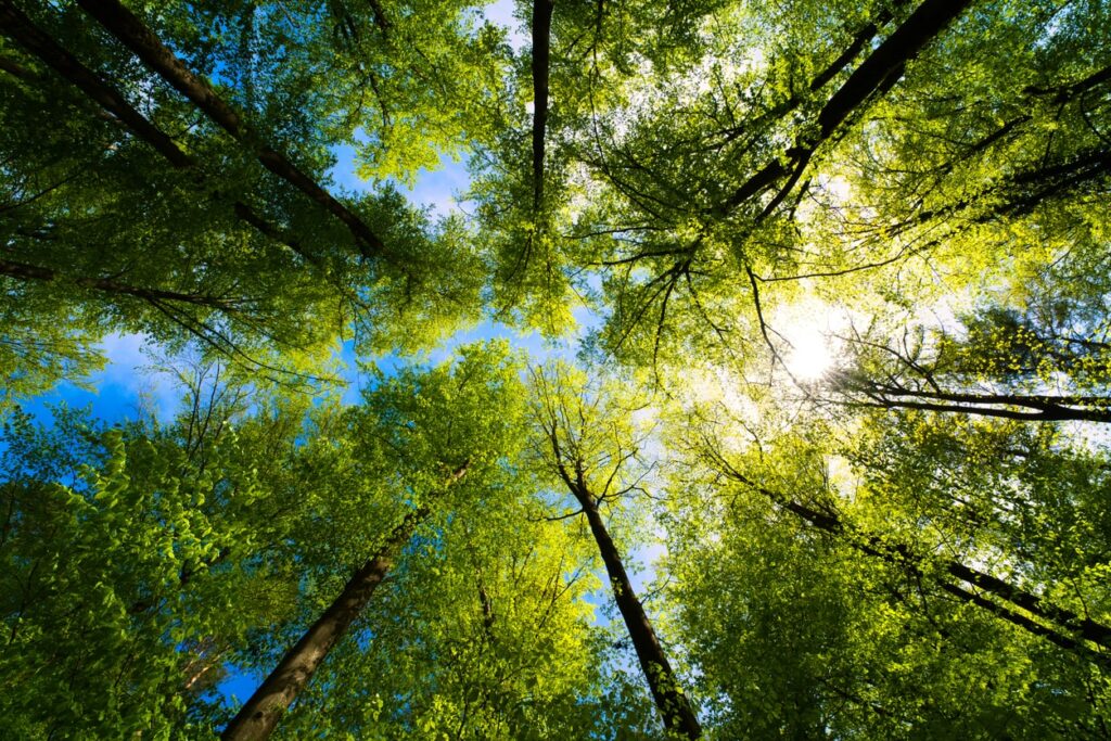 Eco-Friendly Commercial Property