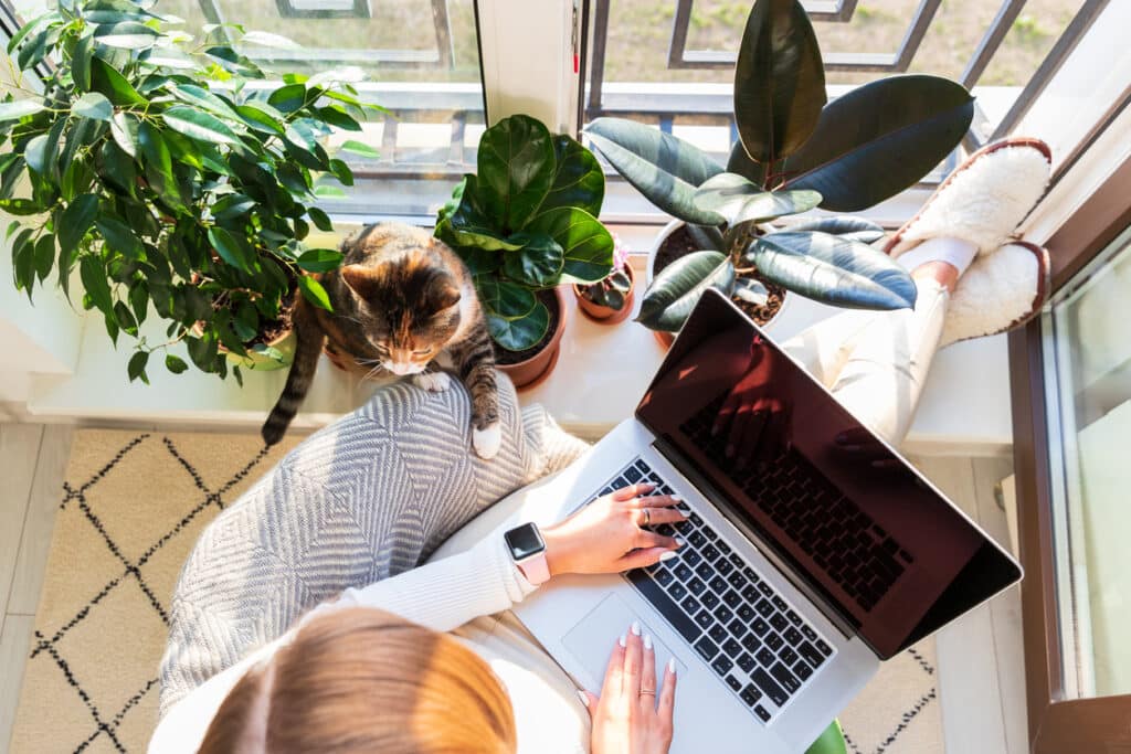 remote work